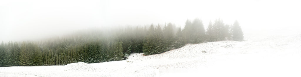 Snow, Trees, Fog - Near Glenfinnan - Scotland